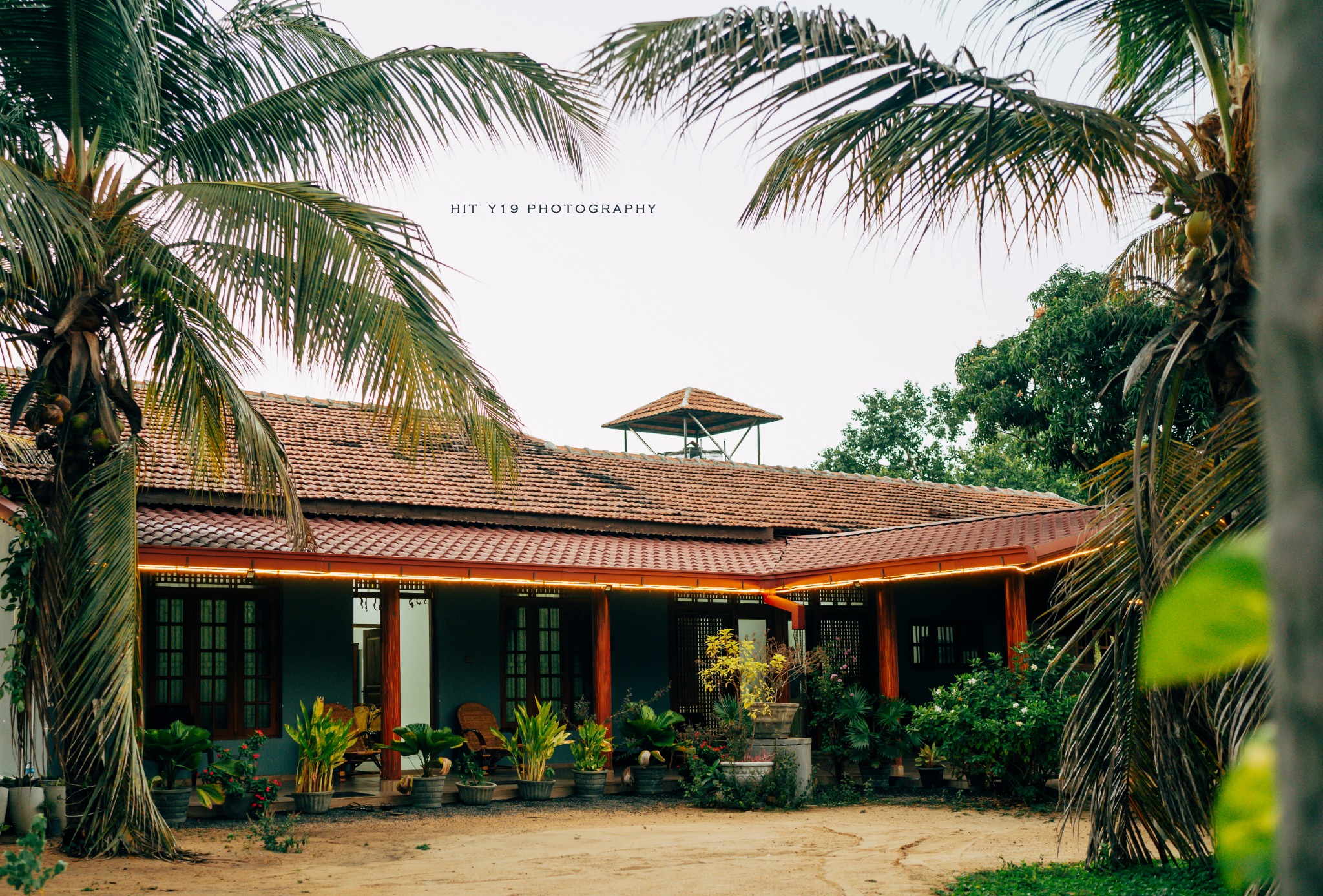 Kal Pasi Resort surrounded by coconut palms